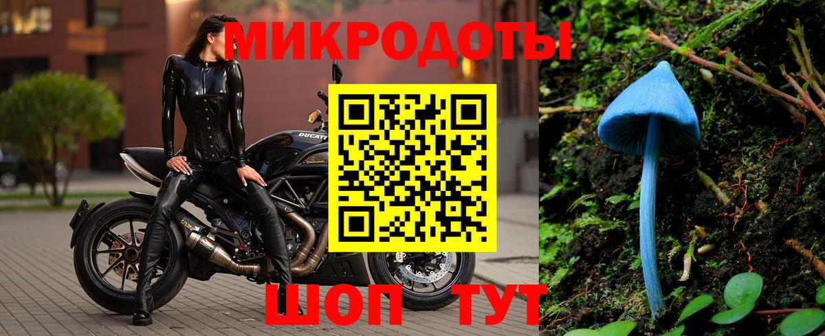 Псилоцибиновые грибы Psilocybine cubensis Солнечногорск