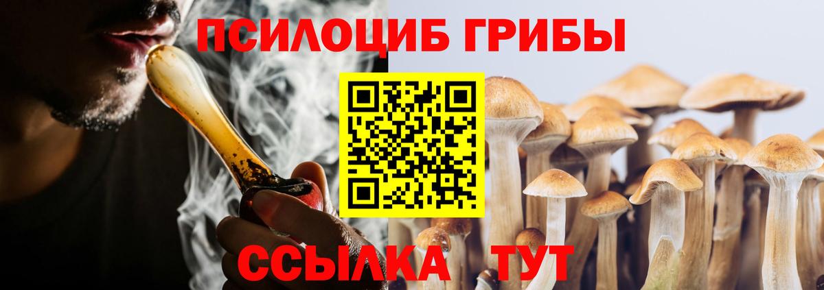 Галлюциногенные грибы Magic Shrooms  Вход с VPN  Солнечногорск  купить наркотики цена  Псилоцибиновые грибы Magic Shrooms 